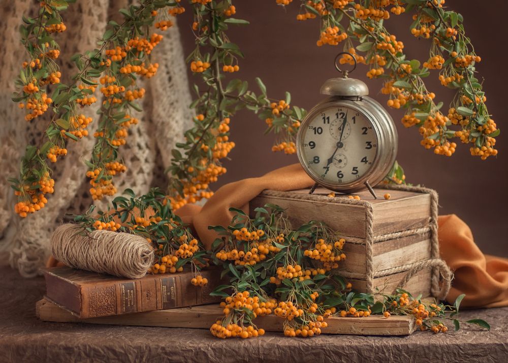 The color of morning