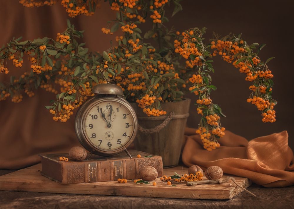 Photograph by Евгения Николова