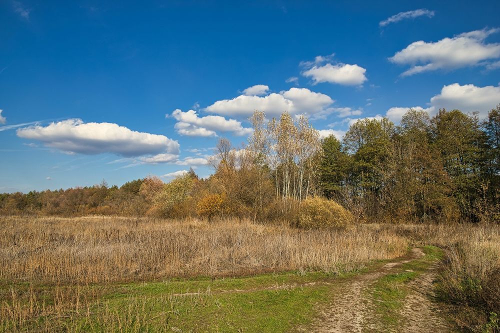 Photograph by Valery Bogushev