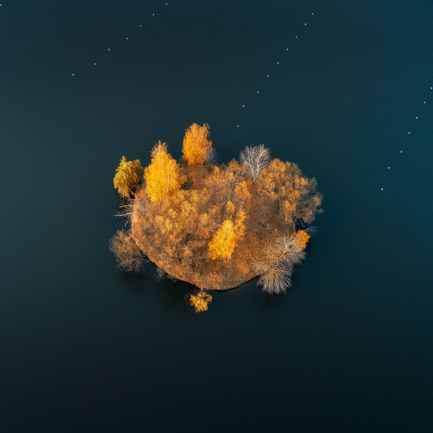 Взрыв осени!