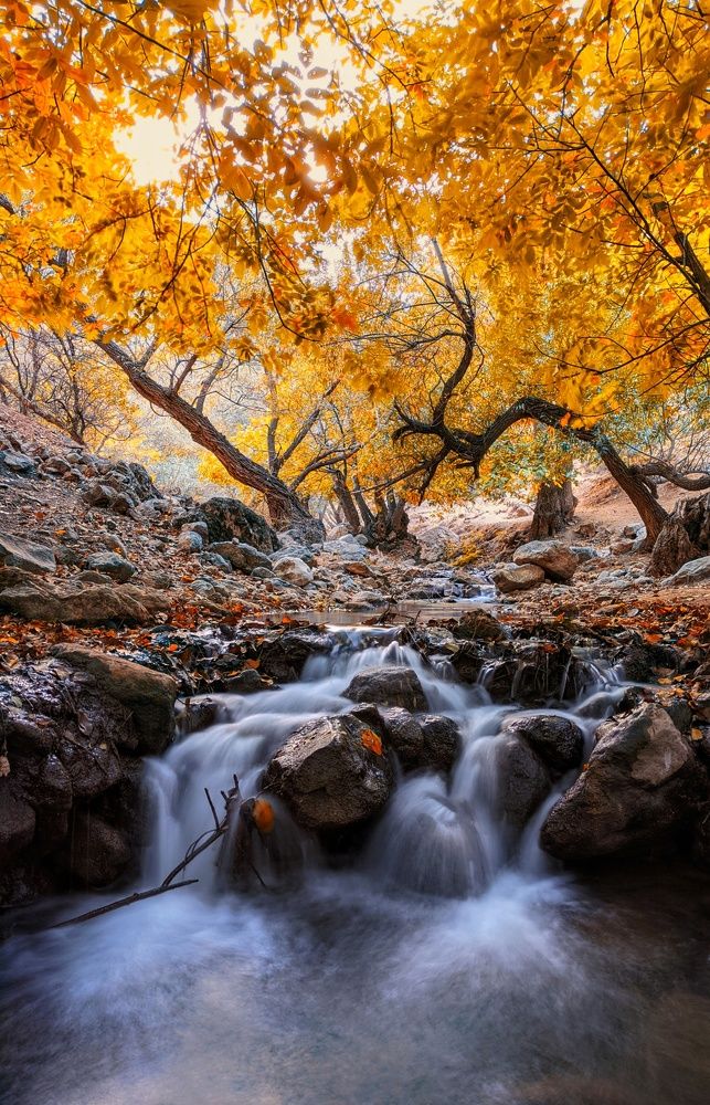 Photograph by Ali goreishi1