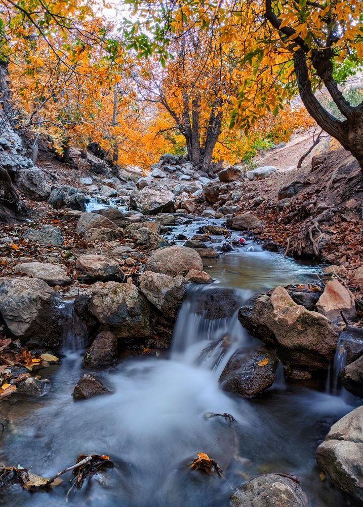 Photograph by Ali goreishi1