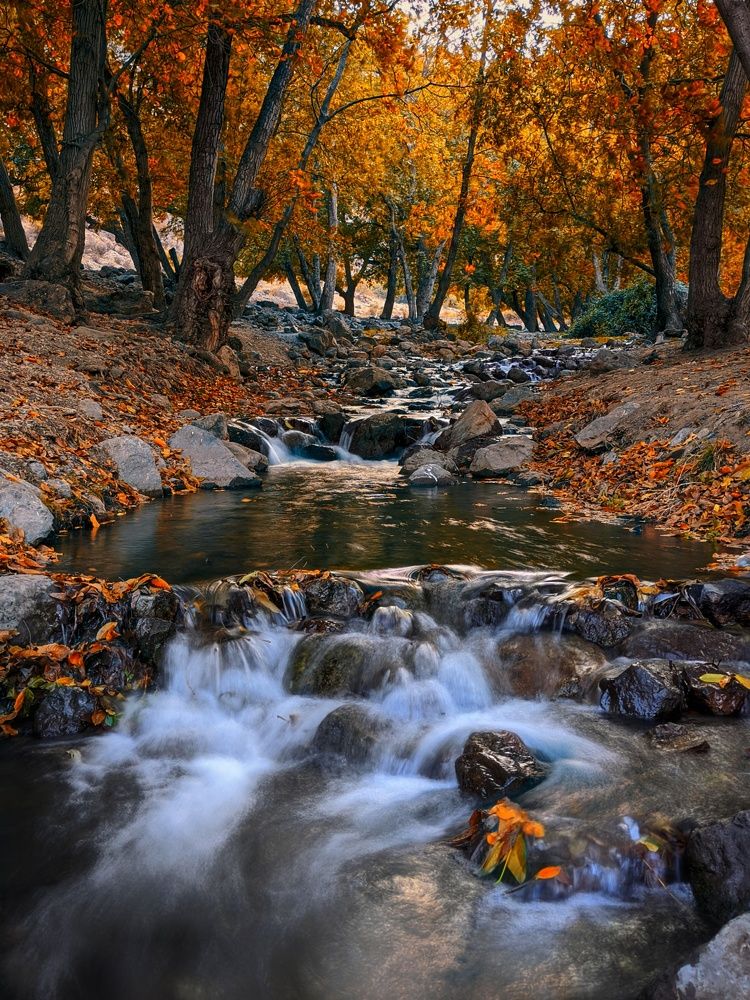 Photograph by Ali goreishi1