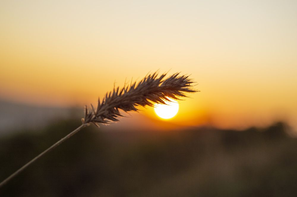 Photograph by Руслан Пелин