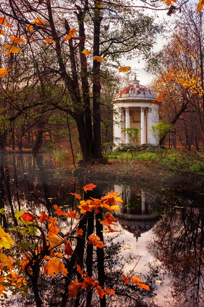 Photograph by Алена Устинович