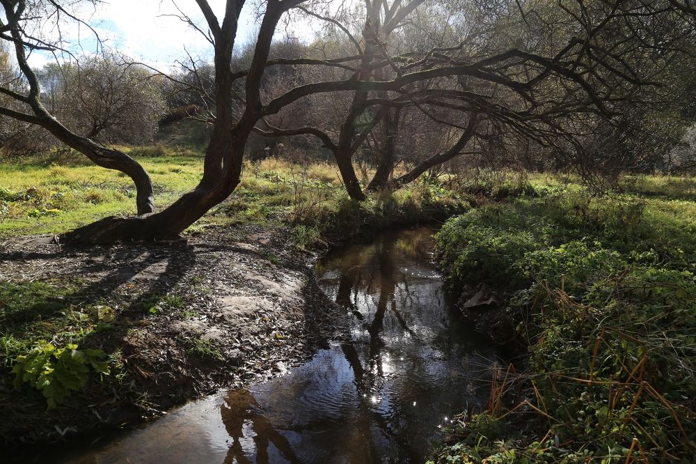 Photograph by Борис Баринов