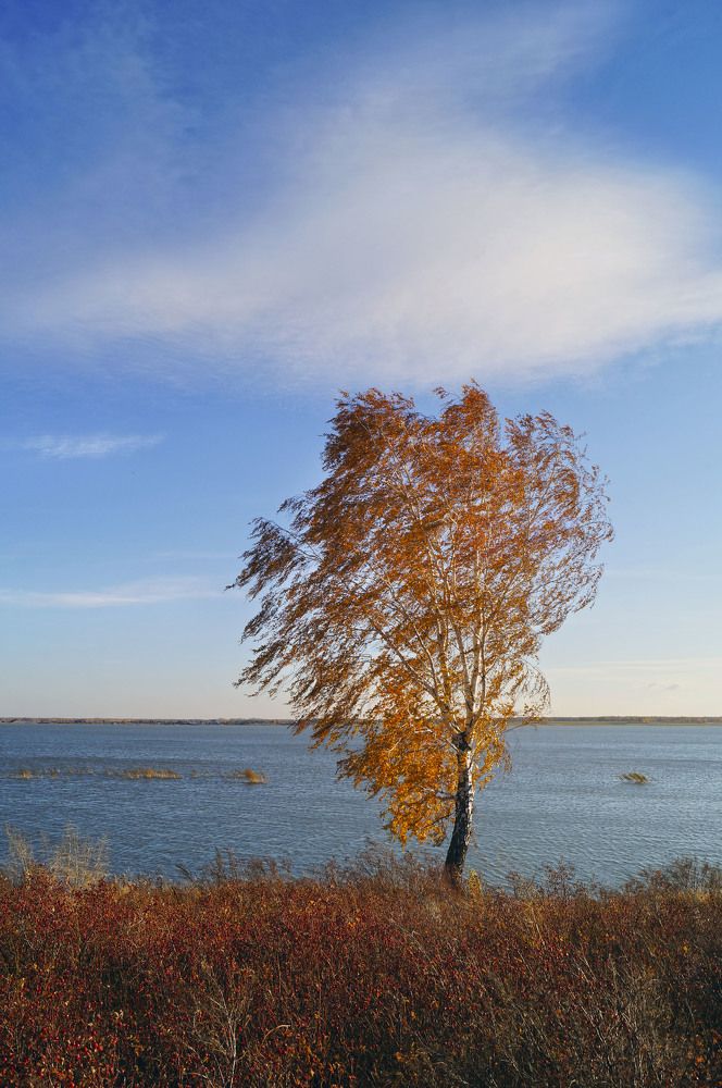 На семи ветрах.