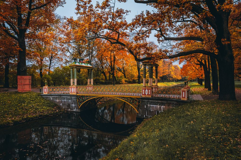 Photograph by Майя Афзаал