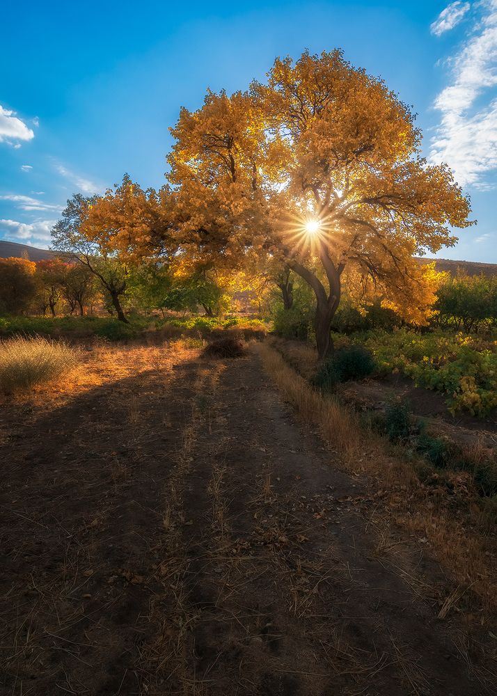 Photograph by sajjad saadat