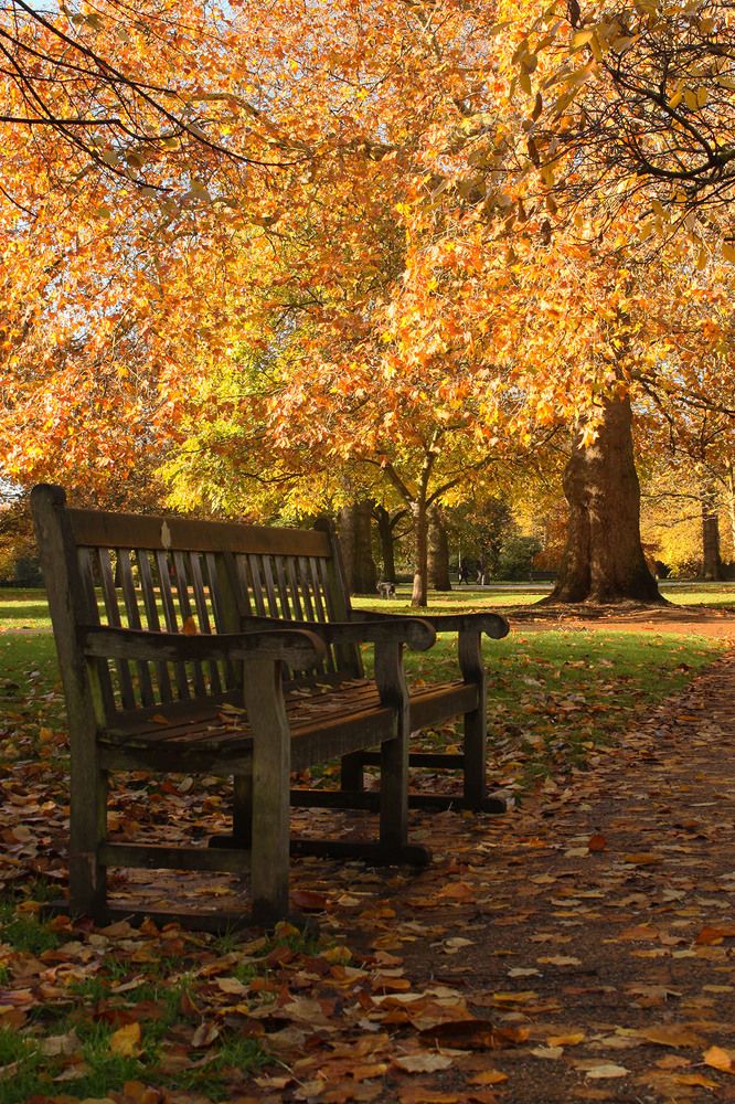 Лондонская осень