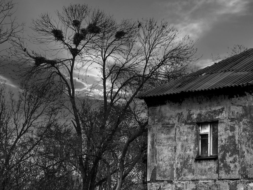 Проклятый, старый дом.