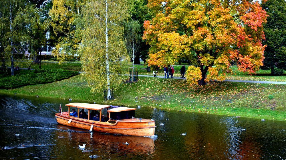 Осенняя прогулка