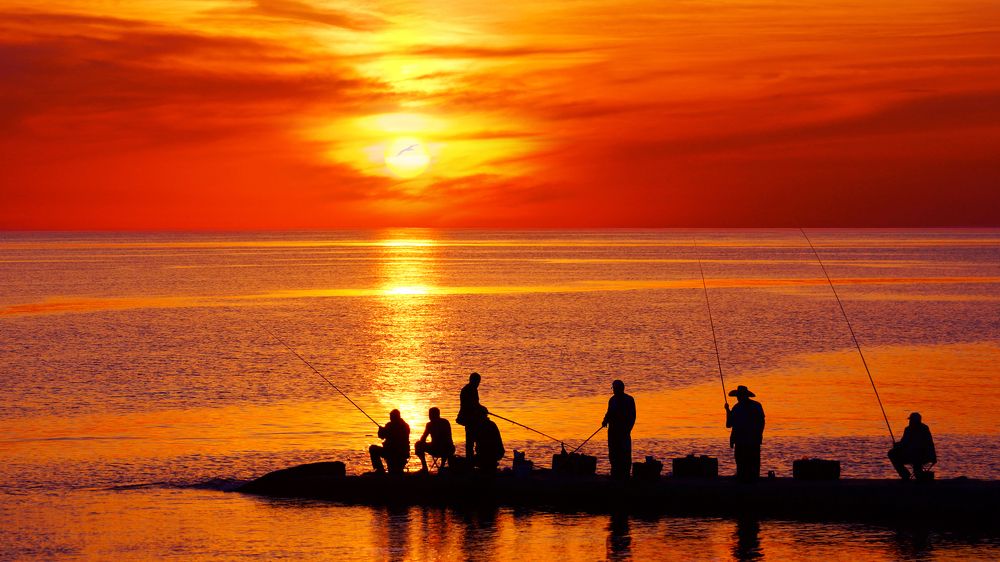 Photograph by Петр Орлов