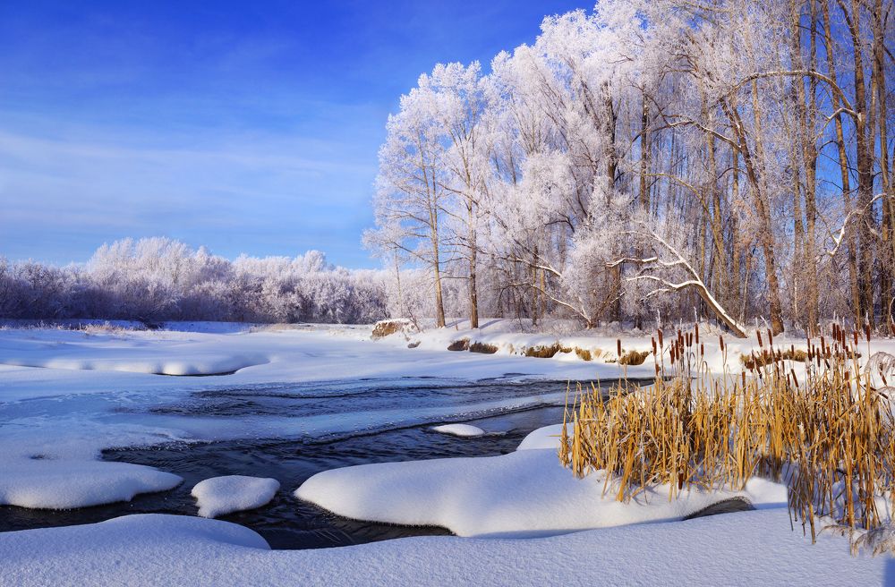 Photograph by Петр Орлов