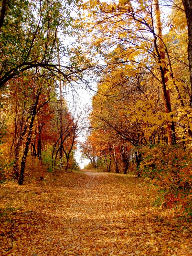 Photograph by Любовь Саханова