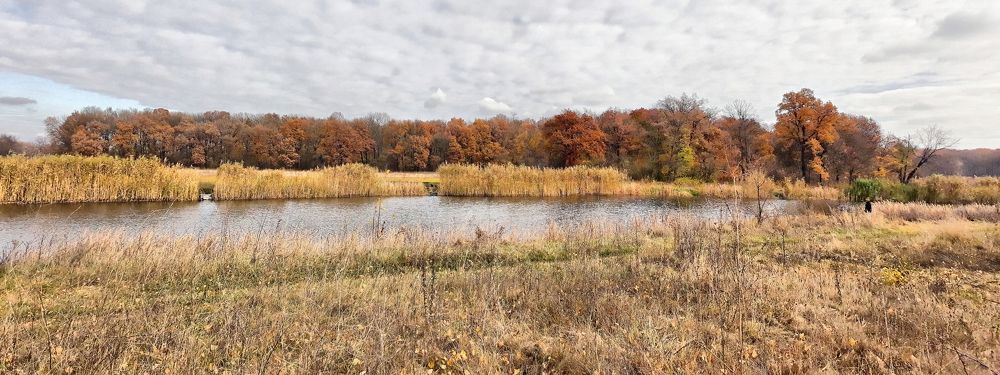 Photograph by Игорь Лотыш