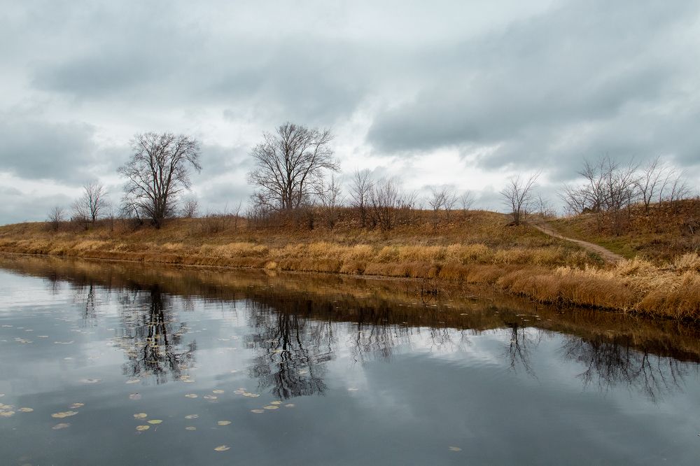 Photograph by Светлана Гущина