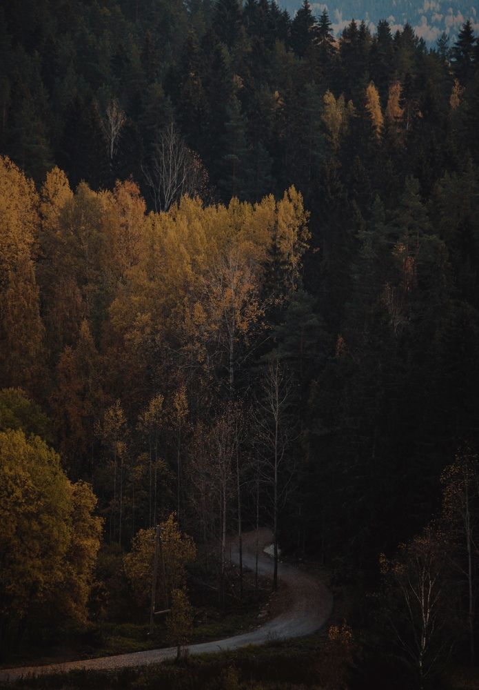 Photograph by Екатерина Николаева