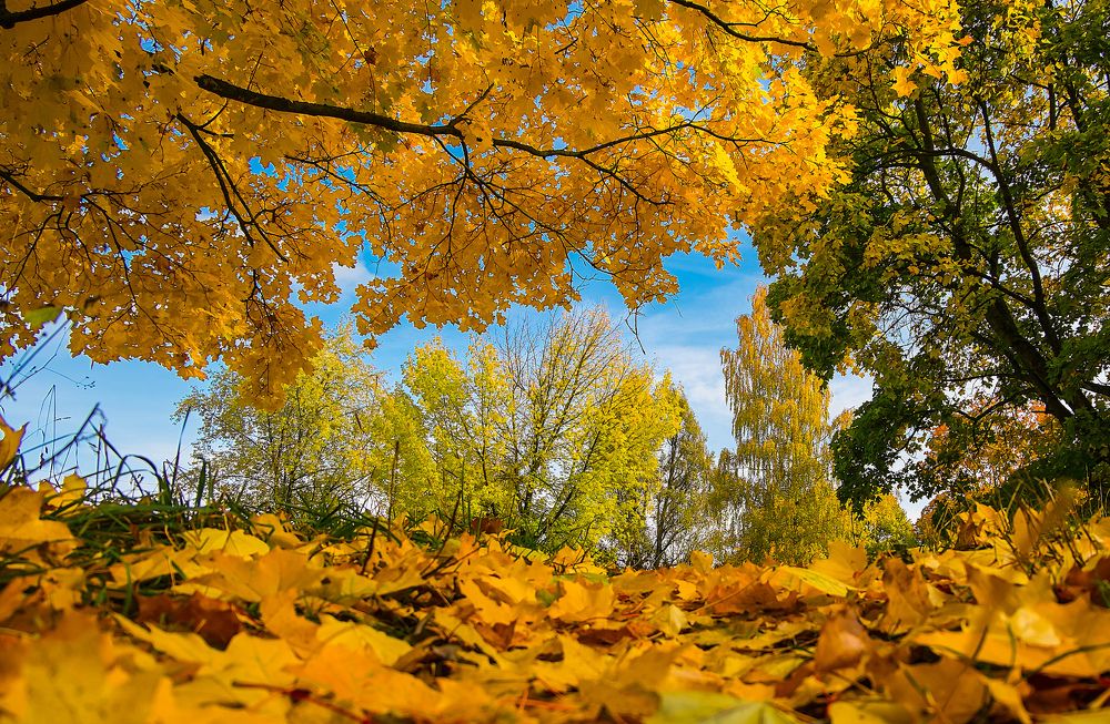 Photograph by Александр Есликов