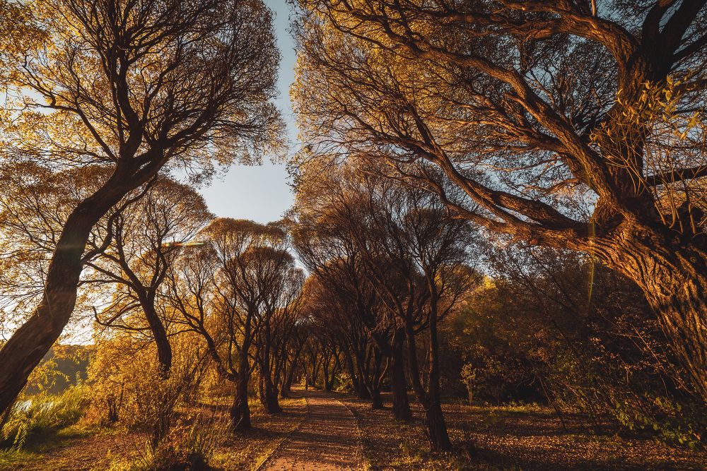 Photograph by Юрий Гаврилов