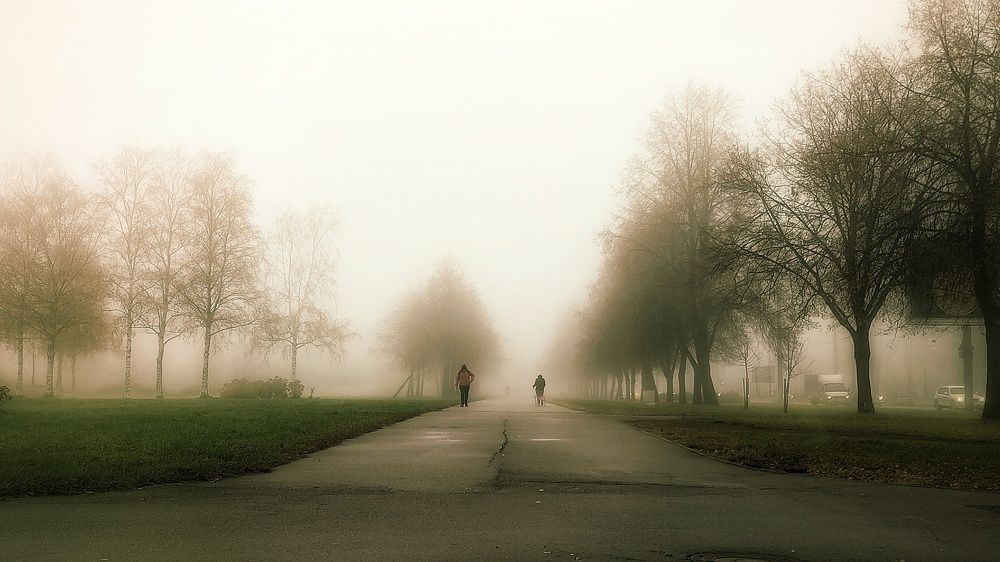 Photograph by Дмитрий Александров