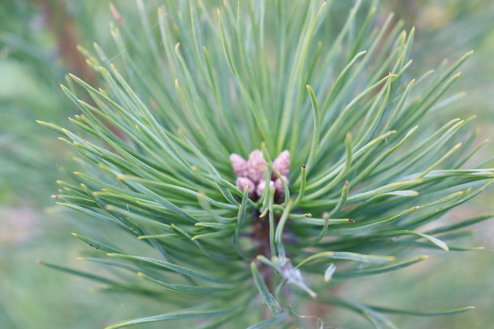 Photograph by Мария Юруть