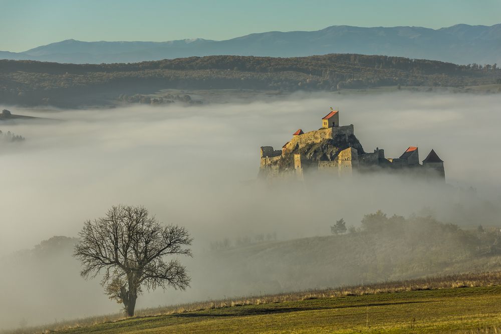 Фотография автора Comșa Bogdan