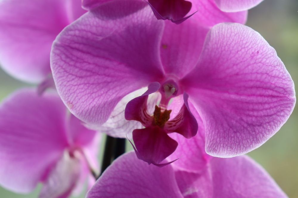 Photograph by Мария Юруть