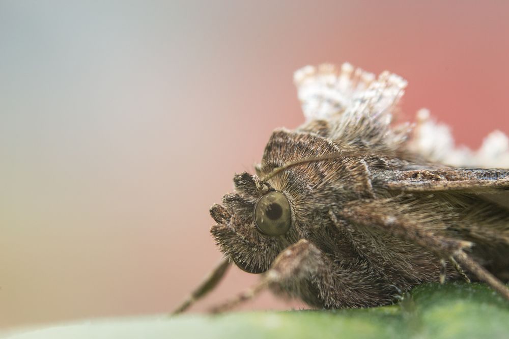 Photograph by Ольга