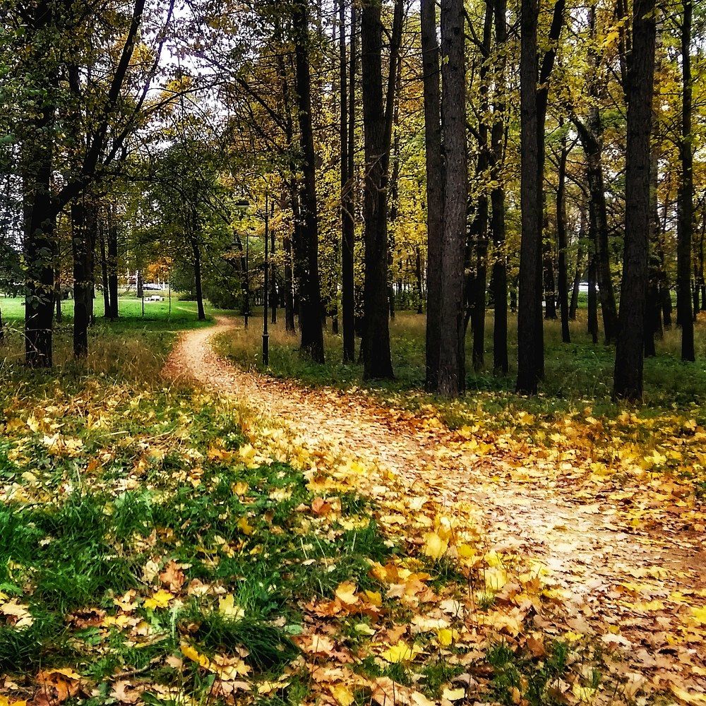 Photograph by Дмитрий Александров