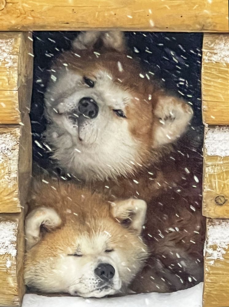 Photograph by Владислав Костылев