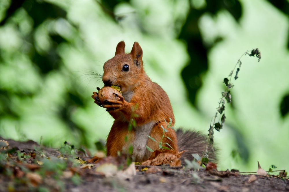Photograph by Dmytro Tretyakov