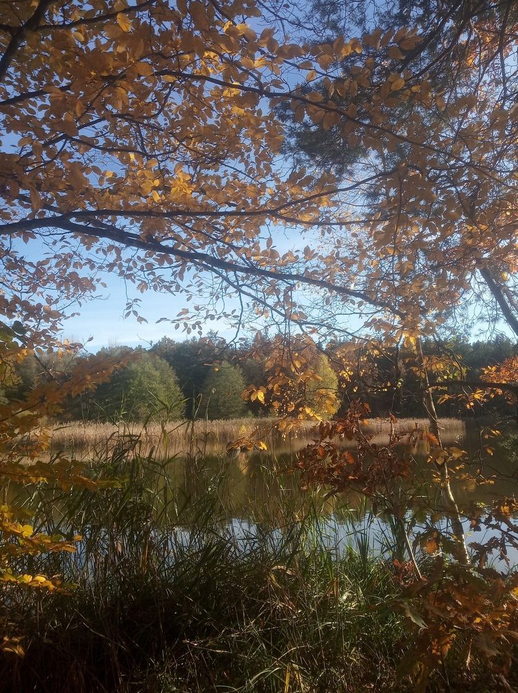 Фотография автора Jindřiška Kučerová