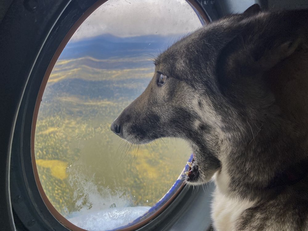 Photograph by Владислав Костылев