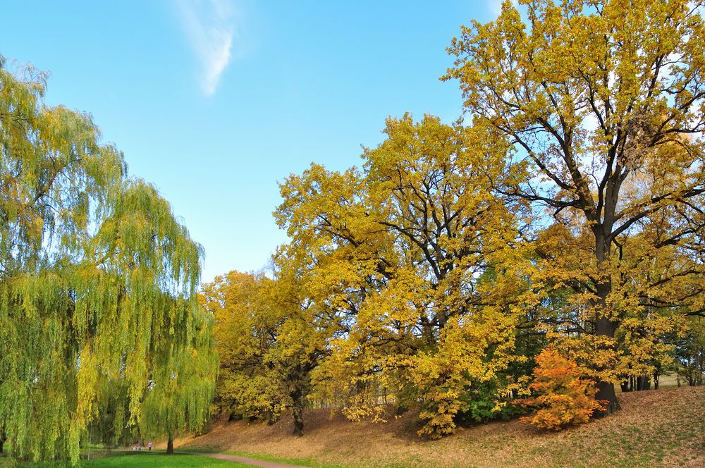 Photograph by Евгений