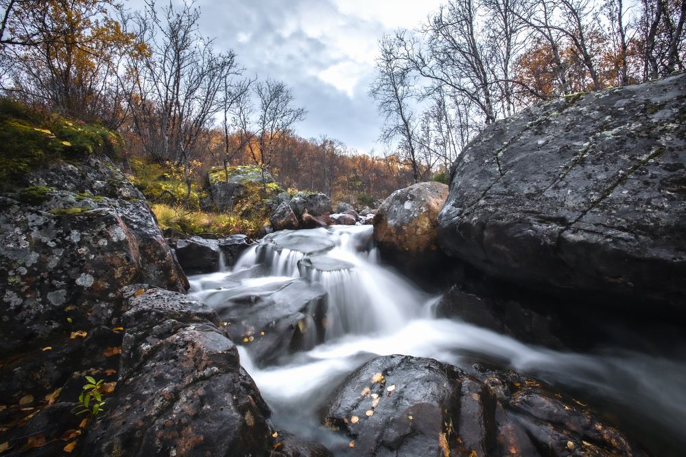 Photograph by ЕВГЕНИЙ СКАЛОЗУБОВ