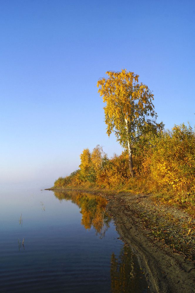 Позолотило.