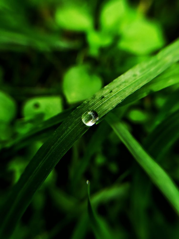 Photograph by Olga Gorokhova
