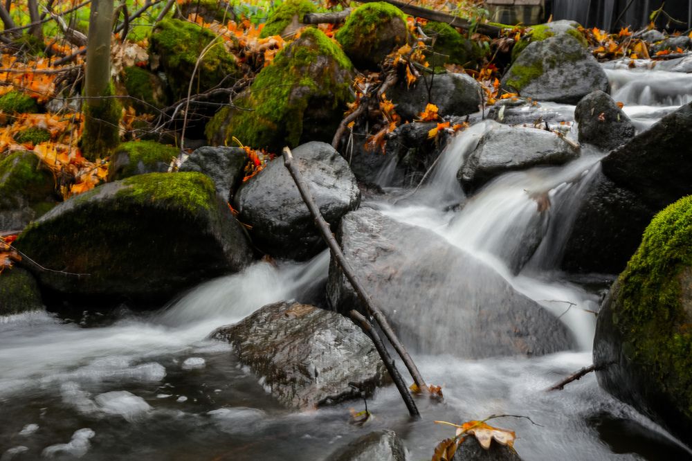 Photograph by Дмитрий Малышев