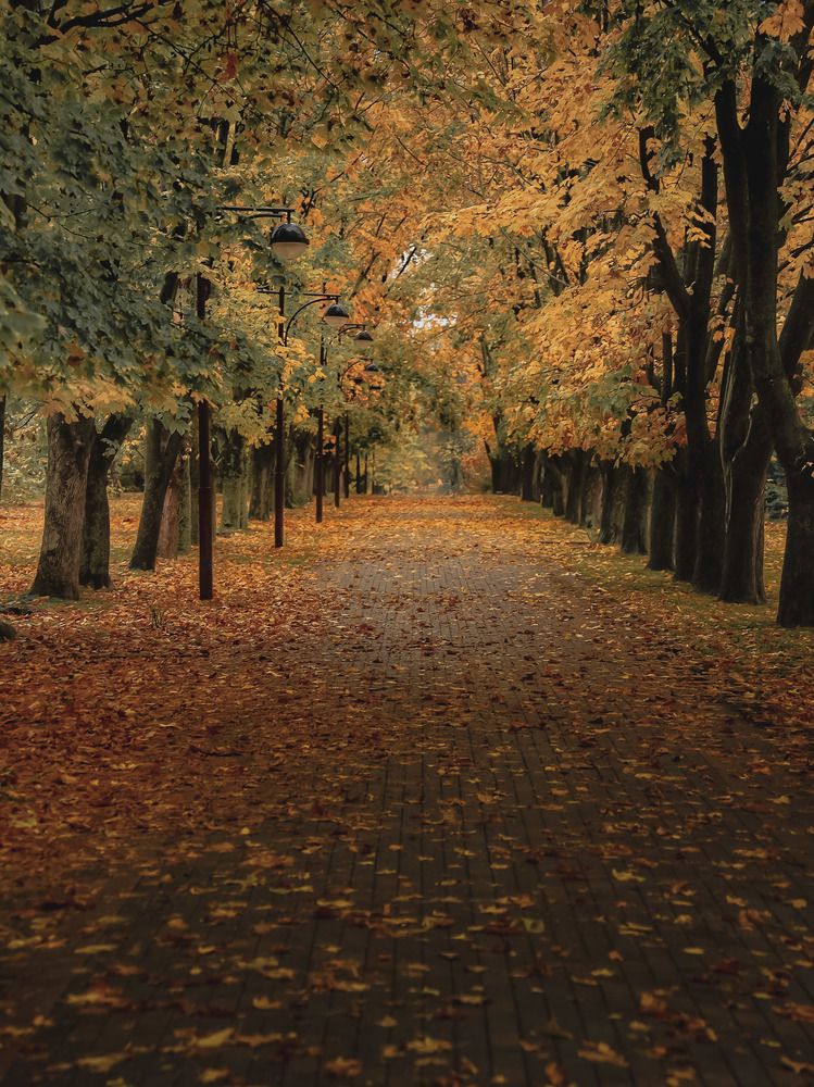 Photograph by Владимир Кульбит