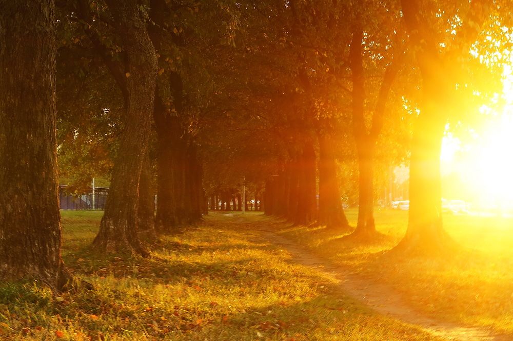 Photograph by Евгений Устинов