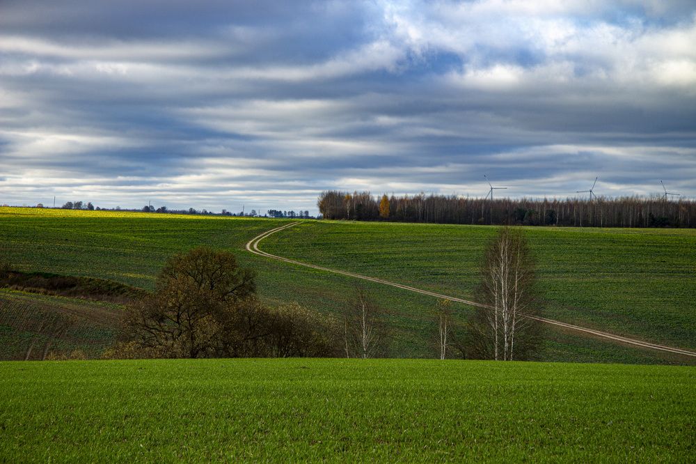 Фотография автора Novoseltsev Konstantin