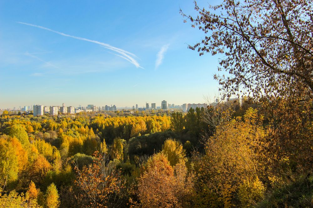 Кусочек нетронутой природы в городе