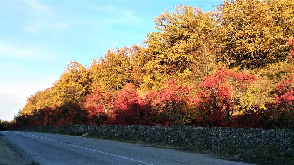 Photograph by Елена Юрьевна Шубенкина