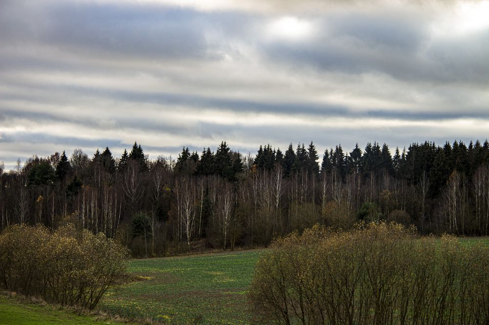 Фотография автора Novoseltsev Konstantin