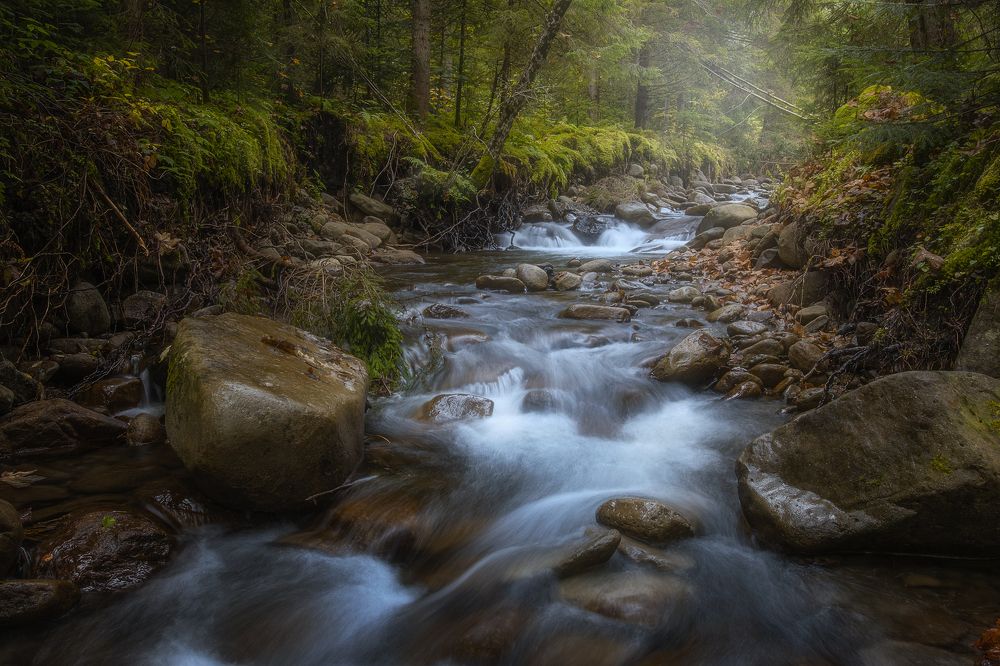 Фотография автора Андрей Жила