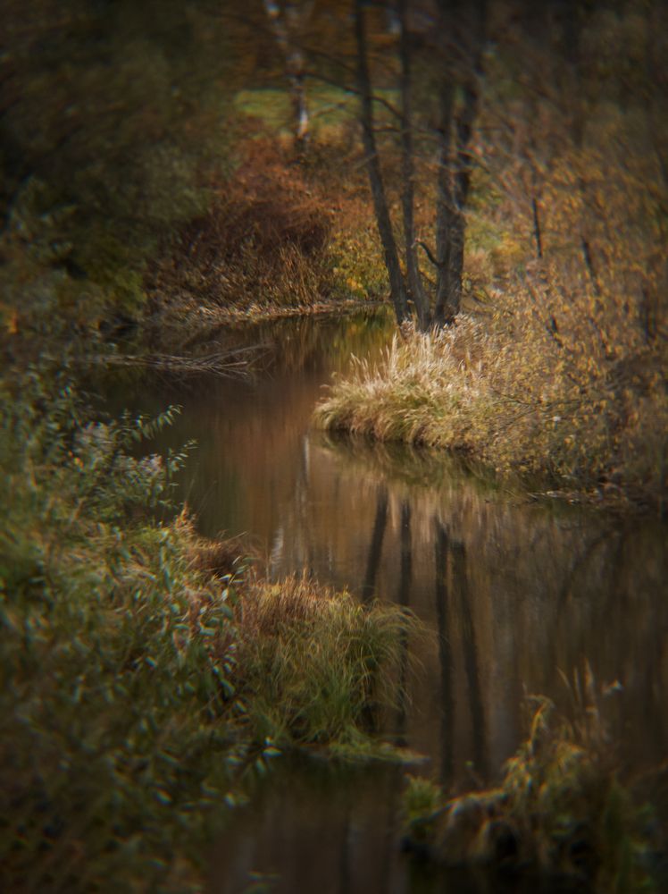 Photograph by Артур Арутюнов