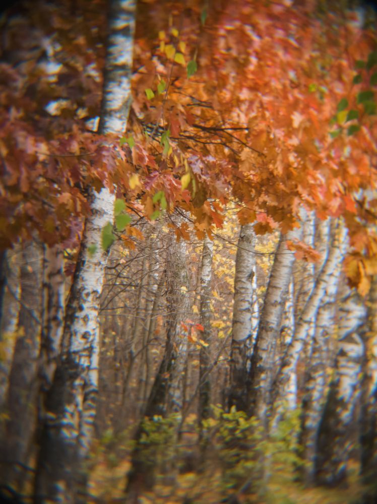 Photograph by Артур Арутюнов