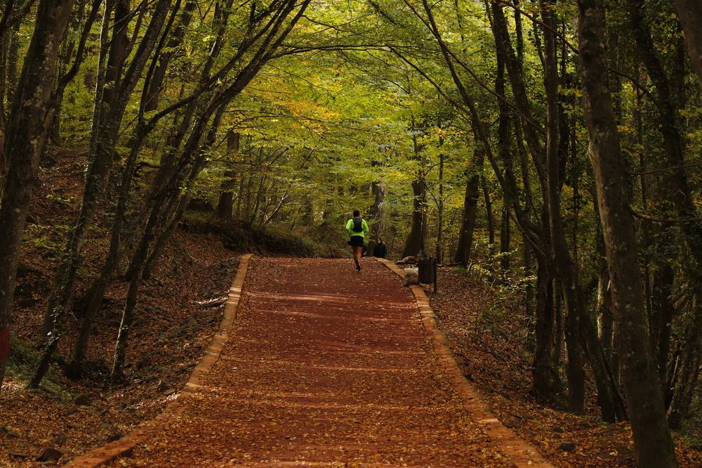 Photograph by GUNSEL SECKİNER