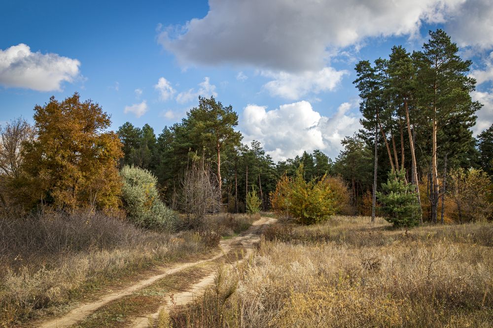 Photograph by Александр Спиридонов